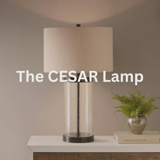 The CESAR Lamp - Hampton Hill Macon Table Lamp - Elegantly Designed with Painted Bronze Metal and Clear Glass Base